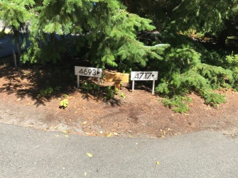 ... and a directional sign in the driveway (also right).